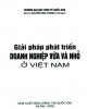 Ebook Giải pháp phát triển doanh nghiệp vừa và nhỏ ở Việt Nam: Phần 1