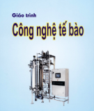 Giáo trình Công nghệ tế bào - Nguyễn Hoàng Lộc
