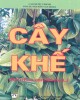 Ebook Cây khế: Phần 1