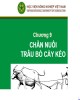 Bài giảng Chương 9: Chăn nuôi trâu bò cày kéo