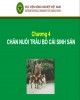 Bài giảng Chương 4: Chăn nuôi trâu bò cái sinh sản