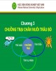 Bài giảng Chăn nuôi trâu bò - Chương 3: Chuồng trại chăn nuôi trâu bò