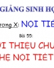 Bài giảng Sinh học 8 - Bài 55: Giới thiệu hệ nội tiết