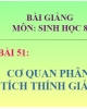 Bài giảng Sinh học 8: Cơ quan phân tích thính giác