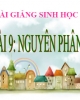 Bài giảng Sinh học 9 - Bài 9: Quá trình Nguyên phân