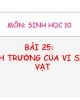 Bài giảng Sinh học 10 - Bài 25: Sinh trưởng vi sinh vật