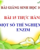 Bài giảng Sinh học 10 - Bài 15: Thực hành thí nghiệm về enzim