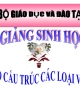 Bài giảng Sinh học 10 - Bài 29: Cấu trúc các loại virut