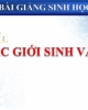 Bài giảng Sinh học 10 - Bài 2: Các giới sinh vật