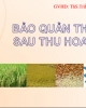 Bài giảng Công nghệ bảo quản - Bài: Bảo quản thóc sau thu hoach