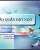 Bài giảng Công nghệ bảo quản - Bài: Bảo quản hạt ngô