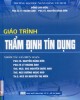 Giáo trình Thẩm định tín dụng: Phần 1