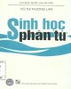 Ebook Sinh học phân tử (In lần thứ tư): Phần 2