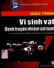 Giáo trình Vi sinh vật bệnh truyền nhiễm vật nuôi: Phần 1