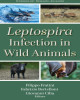 Ebook Leptospira infection in wild animals: Part 2