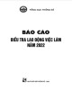 Ebook Báo cáo điều tra lao động việc làm năm 2022: Phần 1